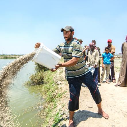 Man feeding fish in aquaculture project in Egypt - Heba El Begawi